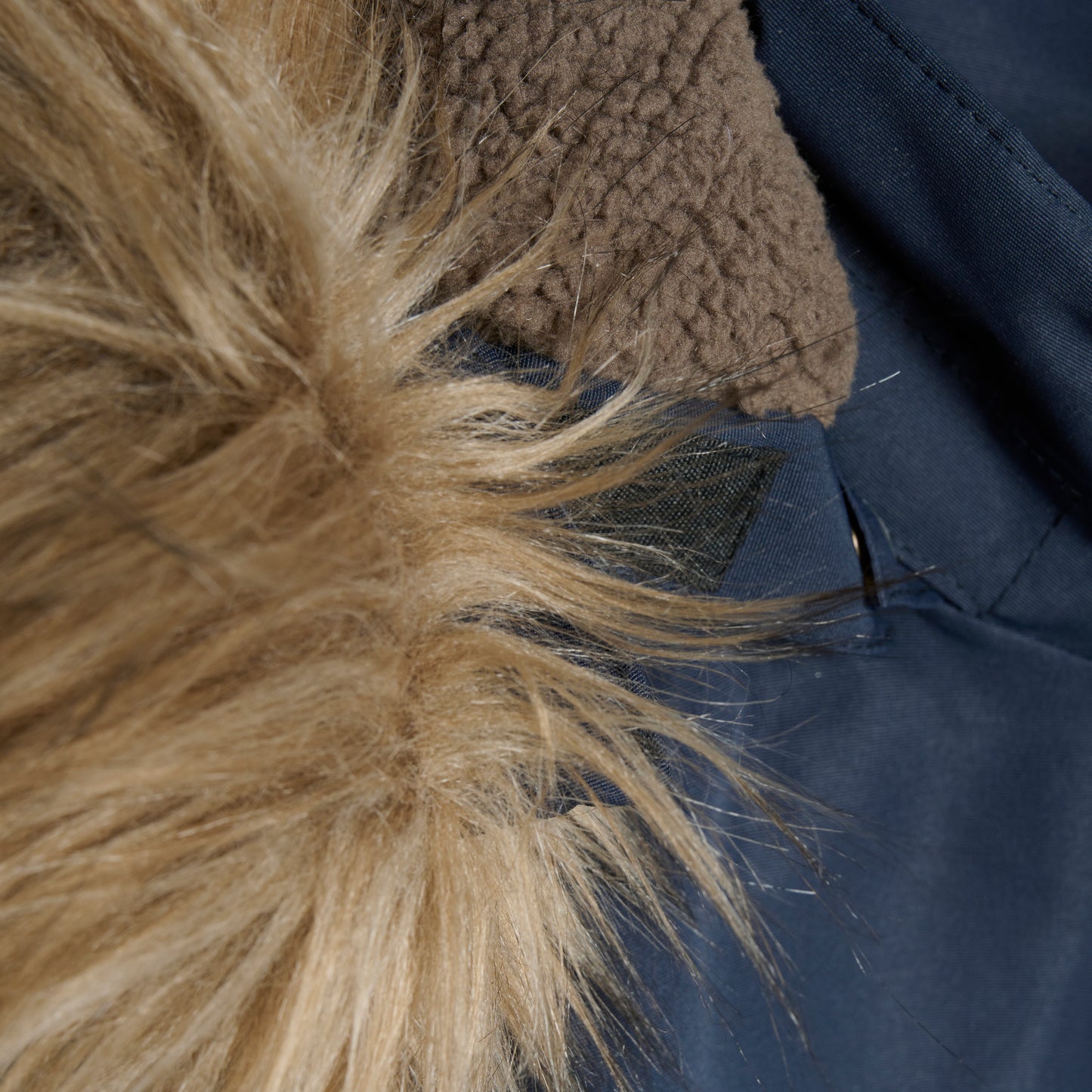 Kuldagalli,dökkblár