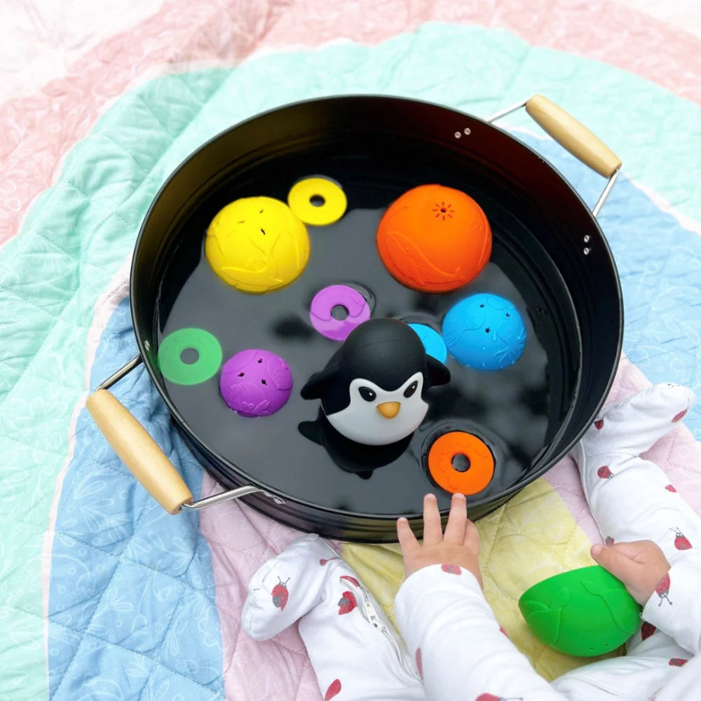 JELLYSTONE - STAFLSKÁLAR